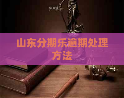 山东逾期处理方法