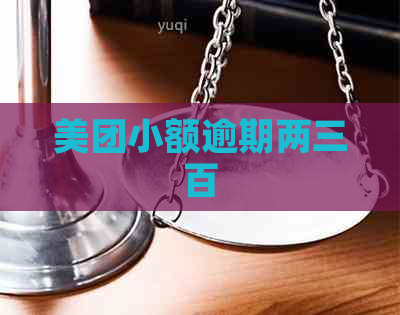 美团小额逾期两三百