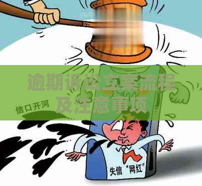 逾期诉讼立案流程及注意事项