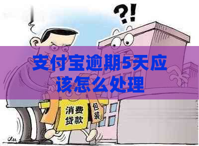 支付宝逾期5天应该怎么处理