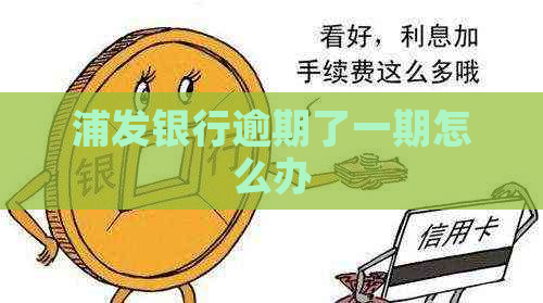 浦发银行逾期了一期怎么办