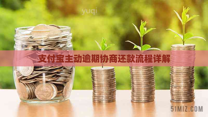 支付宝主动逾期协商还款流程详解
