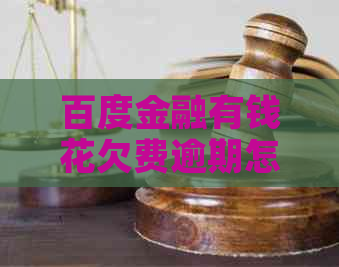 百度金融有钱花欠费逾期怎么办