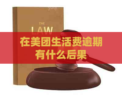 在美团生活费逾期有什么后果
