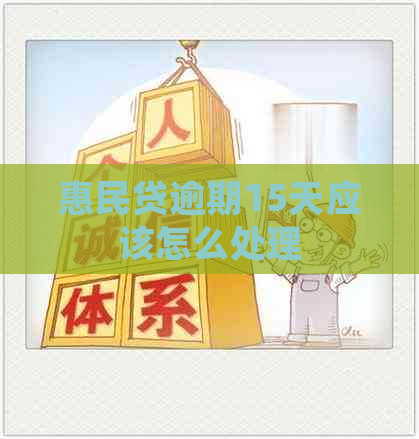 惠民贷逾期15天应该怎么处理