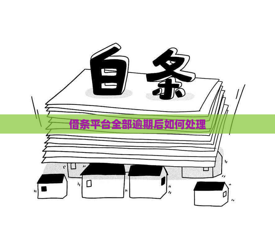 借条平台全部逾期后如何处理