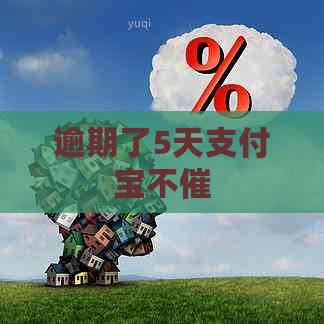 逾期了5天支付宝不催