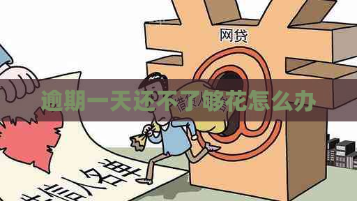 逾期一天还不了够花怎么办