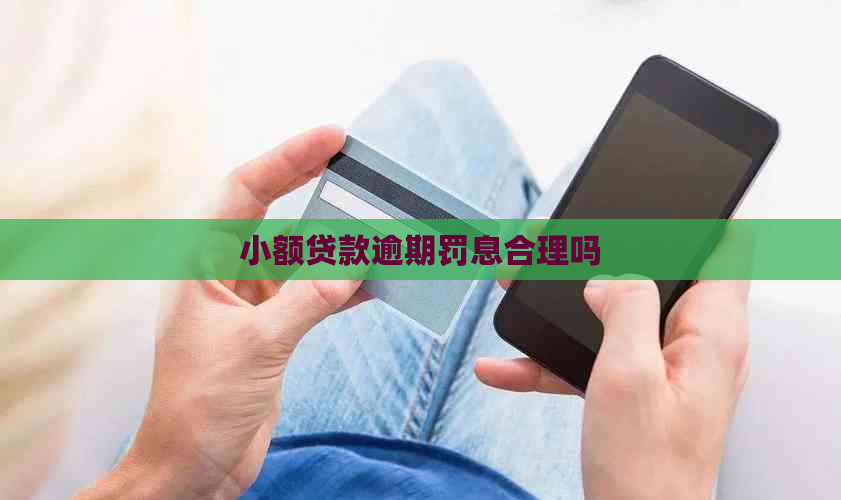 小额贷款逾期罚息合理吗