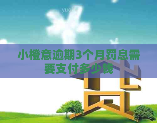 小橙意逾期3个月罚息需要支付多少钱