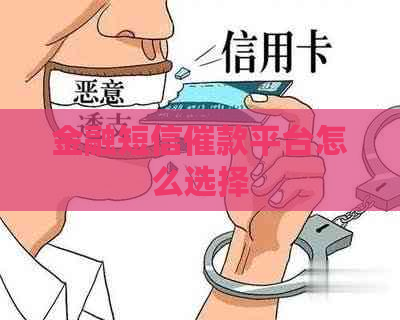 金融短信催款平台怎么选择