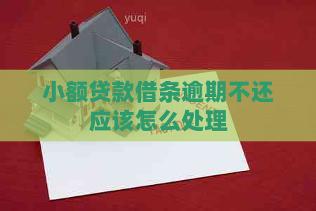 小额贷款借条逾期不还应该怎么处理