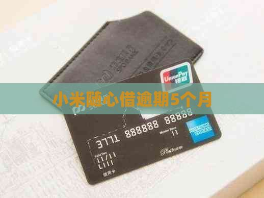 小米随心借逾期5个月