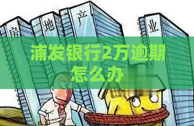 浦发银行2万逾期怎么办