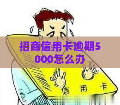 招商信用卡逾期5000怎么办