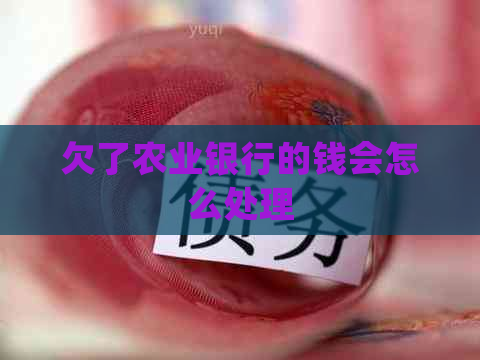 欠了农业银行的钱会怎么处理