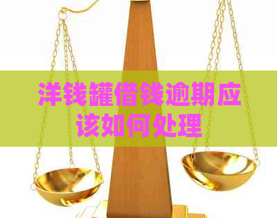 洋钱罐借钱逾期应该如何处理