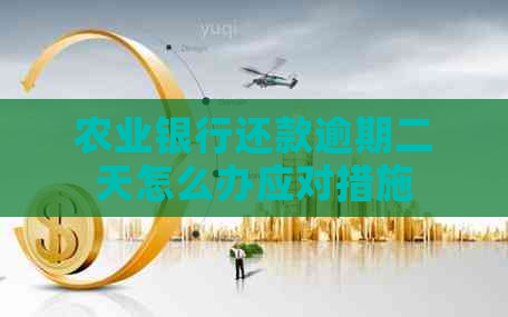 农业银行还款逾期二天怎么办应对措施