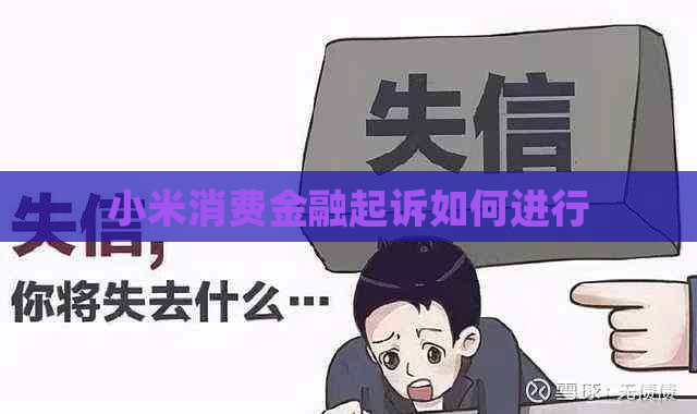 小米消费金融起诉如何进行