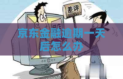 京东金融逾期一天后怎么办