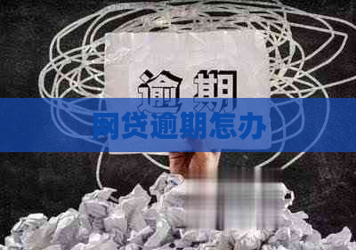 网贷逾期怎办