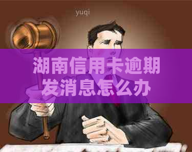 湖南信用卡逾期发消息怎么办