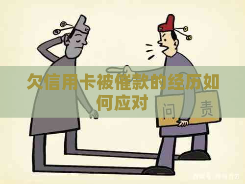 欠信用卡被催款的经历如何应对