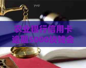 农业银行信用卡逾期5000块钱会怎样处理