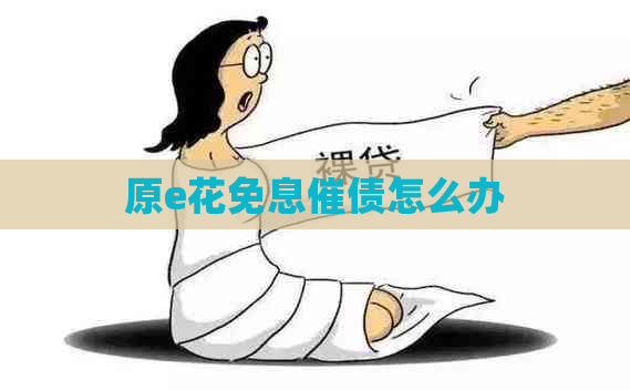 原e花免息催债怎么办