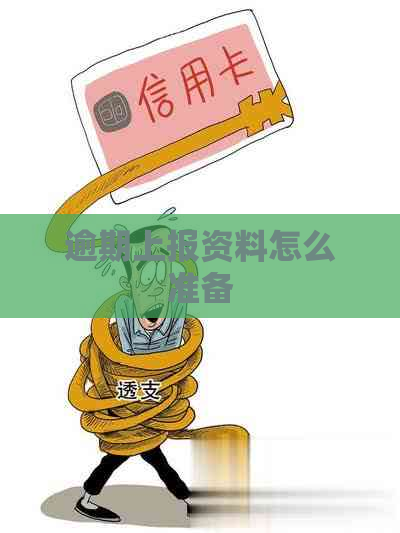 逾期上报资料怎么准备