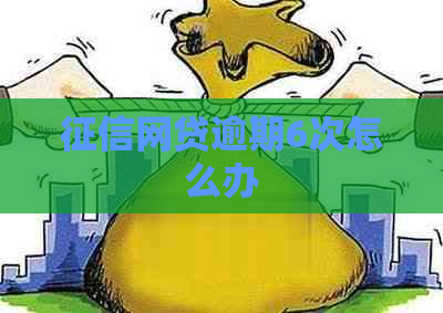 网贷逾期6次怎么办