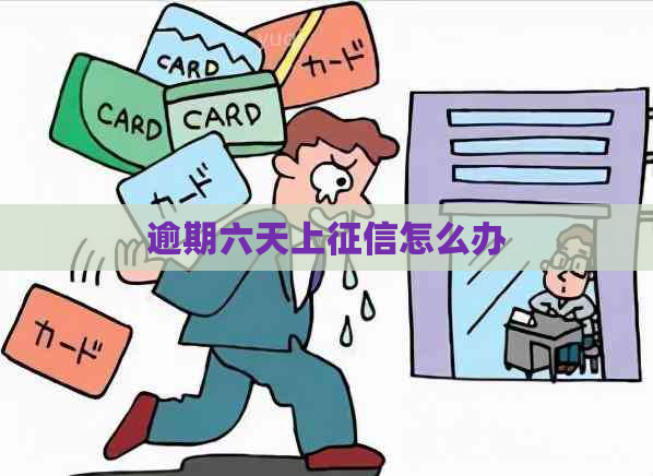 逾期六天上怎么办