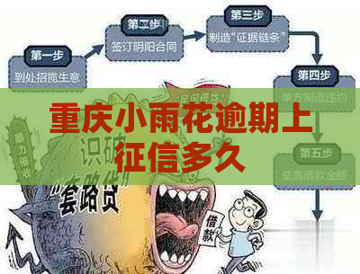 重庆小雨花逾期上多久