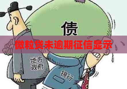 微粒贷未逾期显示