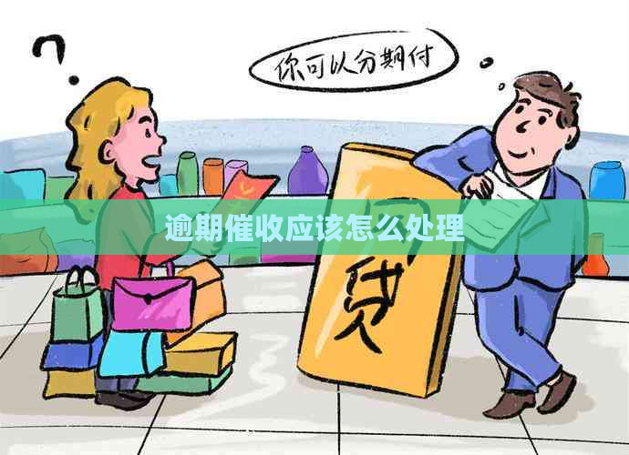 逾期应该怎么处理