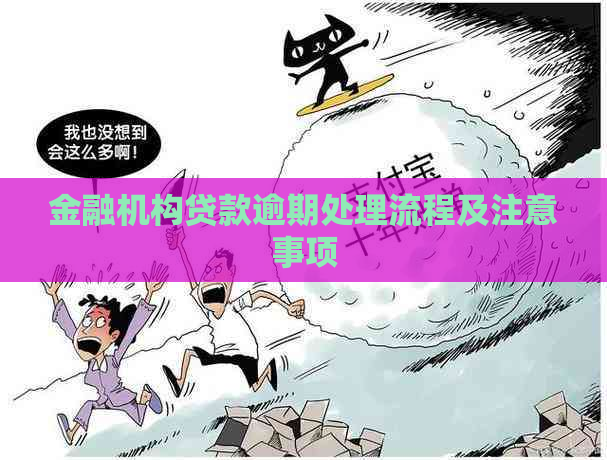 金融机构贷款逾期处理流程及注意事项