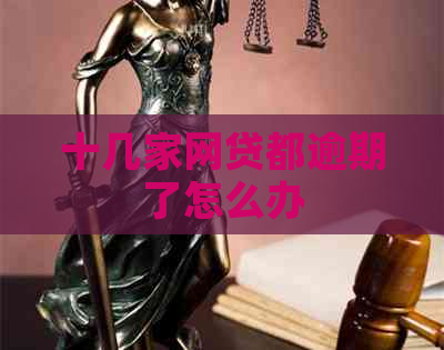 十几家网贷都逾期了怎么办