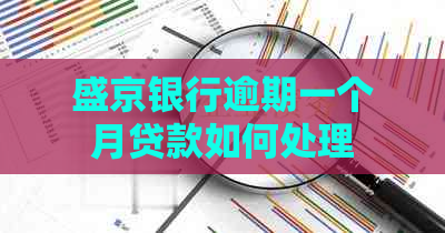 盛京银行逾期一个月贷款如何处理