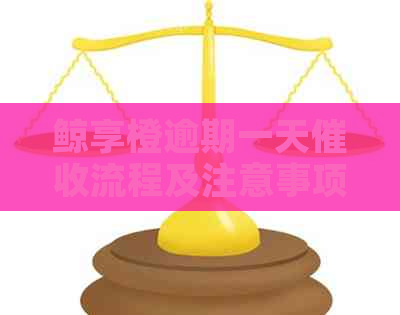 鲸享橙逾期一天流程及注意事项