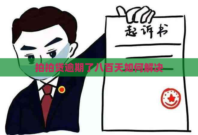 逾期了八百天如何解决