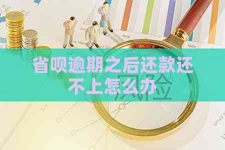 省呗逾期之后还款还不上怎么办