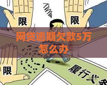 网贷逾期欠款5万怎么办