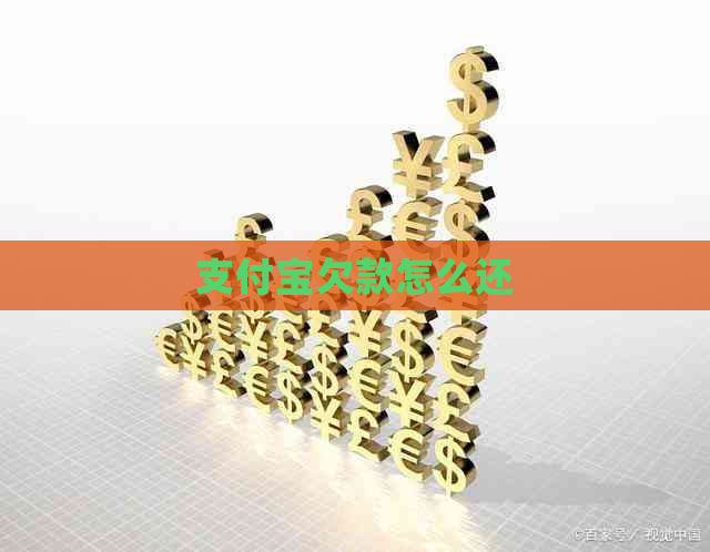 支付宝欠款怎么还