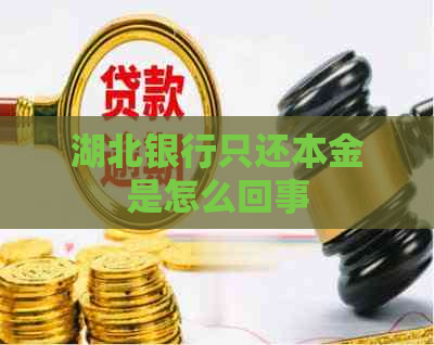湖北银行只还本金是怎么回事