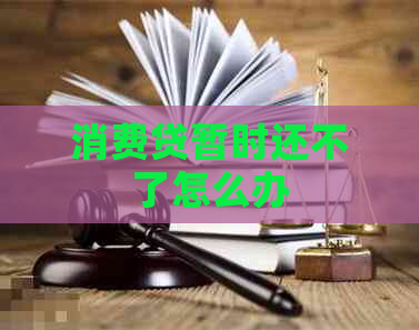 消费贷暂时还不了怎么办