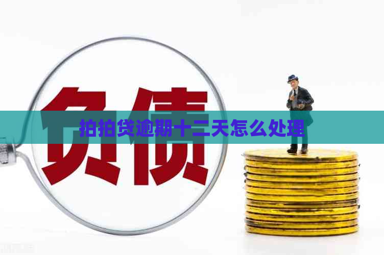 逾期十二天怎么处理