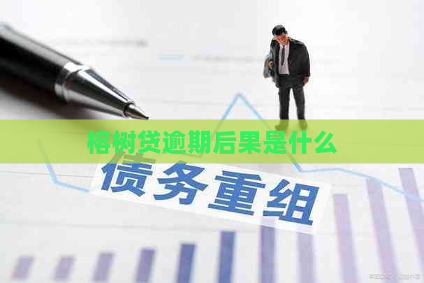榕树贷逾期后果是什么