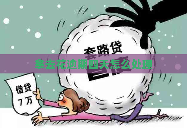 拿去花逾期四天怎么处理