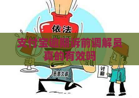 支付宝逾期诉前调解员真的有效吗