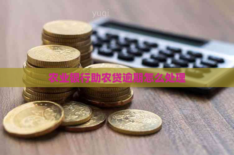 农业银行助农贷逾期怎么处理